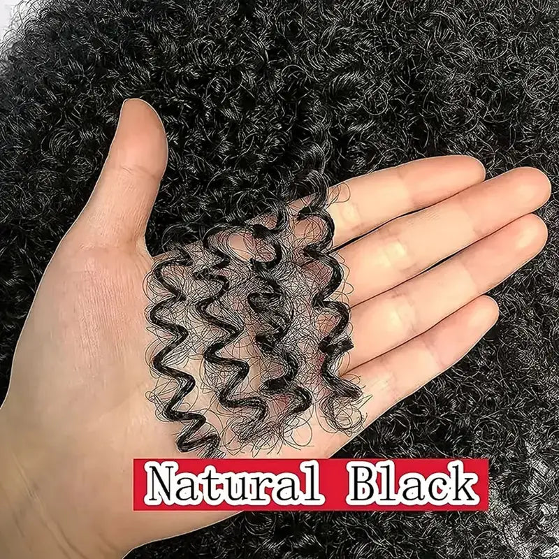 No import chargesLocal warehouse200 Density 4x4 Curly Wave Glueless Lace Closure Wigs Human Hair HD Transparent Frontal Wigs Human Hair for Women Curly Wave Glueless Wigs Human Hair Pre Plucked with Baby Hair Natural Black