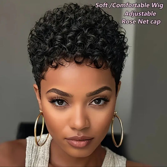 No import chargesLocal warehouse6 Inch Afro Curly/Kinky Brazilian Remy Human Hair Wig for Women - 180% Density Glueless Wig with Rose Net Cap, Machine-Made Non-Gel Natural Look for Daily Use, Versatile Styling. JD3257256 T